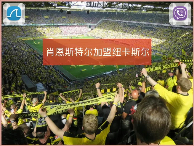 肖恩斯特尔加盟纽卡斯尔
