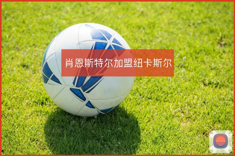 肖恩斯特尔加盟纽卡斯尔